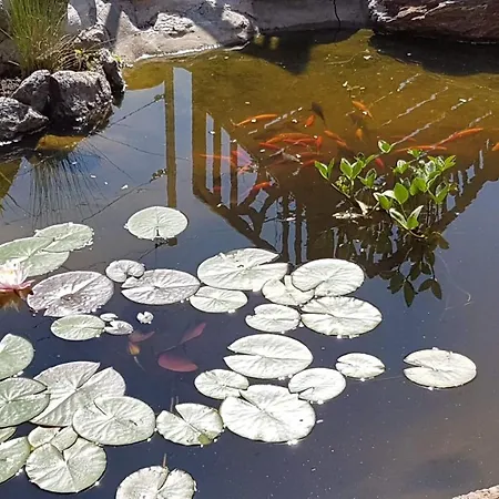 Klimbacher * Wolfsberg