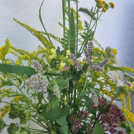 Klimbacher Wolfsberg