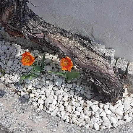 Apartamento Klimbacher