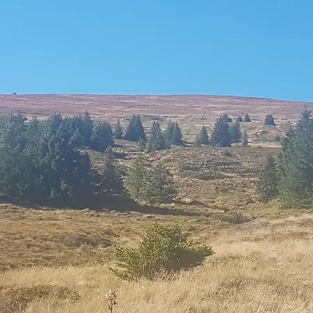 Klimbacher