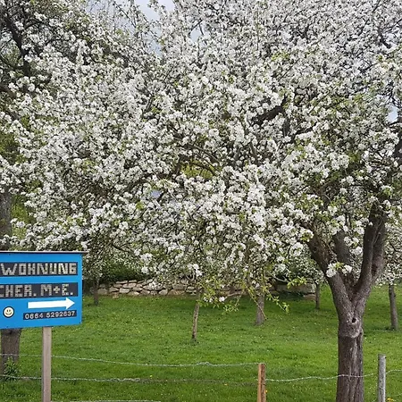 Appartamento Klimbacher Wolfsberg