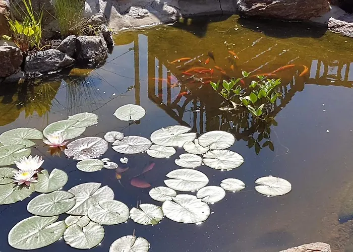 Klimbacher * וולפסברג