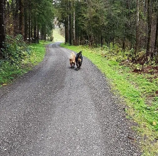 דירה Klimbacher *