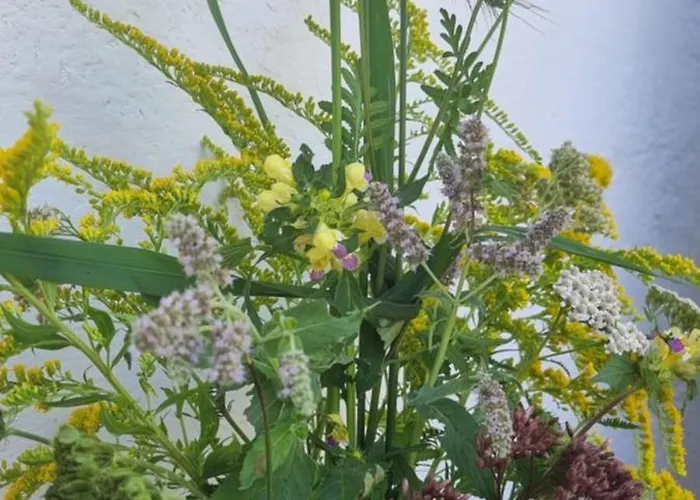 Klimbacher וולפסברג