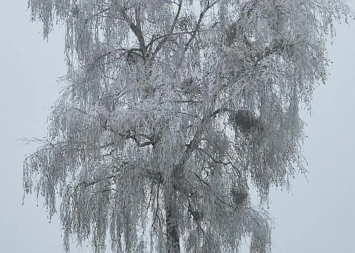 Klimbacher * Wolfsberg