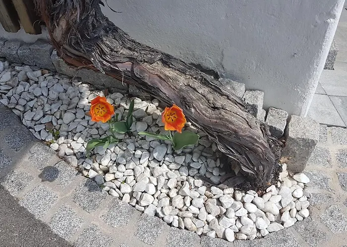 Apartamento Klimbacher