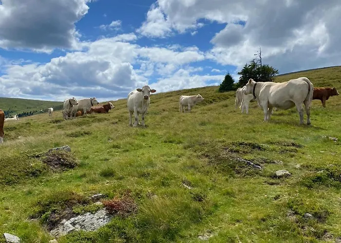 Klimbacher דירה וולפסברג